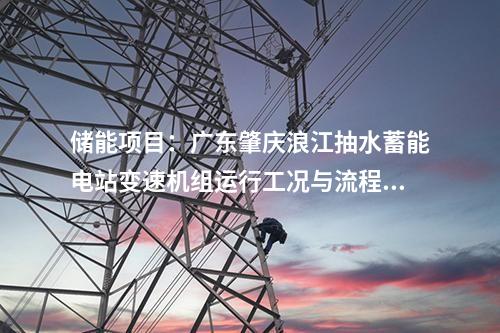 储能项目：广东肇庆浪江抽水蓄能电站变速机组运行工况与流程设计专题会议顺利召开