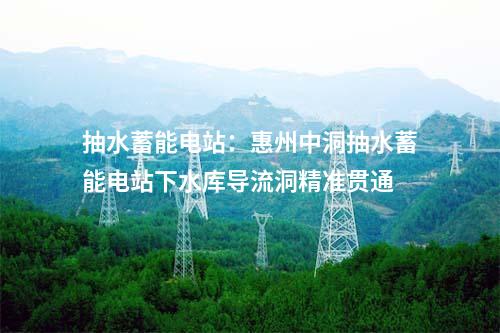 抽水蓄能电站：惠州中洞抽水蓄能电站下水库导流洞精准贯通