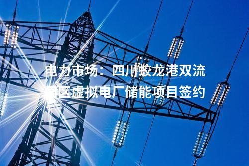 数智化：国内首个村级自治微电网示范工程正式建成投运