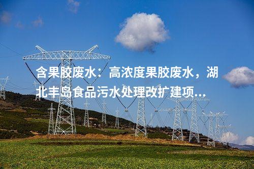 含果胶废水：高浓度果胶废水，湖北丰岛食品污水处理改扩建项目拟实施！
