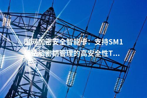 国网加密安全智能卡：支持个人数字身份证书存储的安全TF卡
