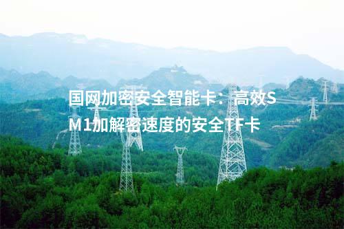 国网加密安全智能卡：为移动终端提供全面加密保护的安全TF卡