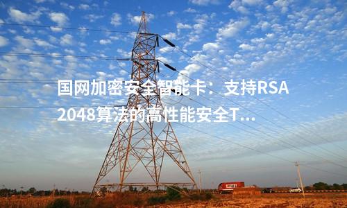 国网加密安全智能卡：支持RSA2048算法的高性能安全TF卡