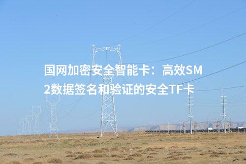 国网加密安全智能卡：高效SM2数据签名和验证的安全TF卡