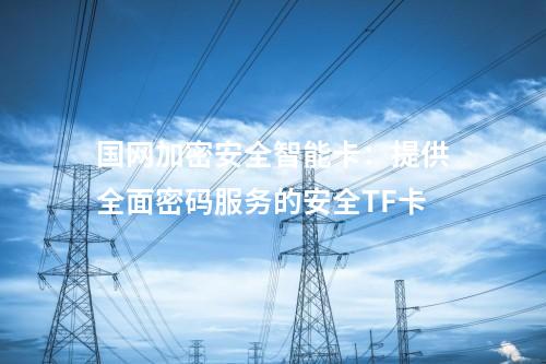 国网加密安全智能卡：国家密码管理局认证的高性能安全TF卡
