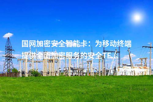 国网加密安全智能卡：为移动终端提供全面加密服务的安全TF卡