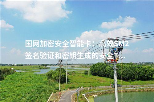 国网加密安全智能卡：支持SM1、SM2、SM3算法的高安全性TF卡
