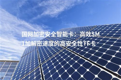 国网加密安全智能卡：高效SM1加解密速度的高安全性TF卡