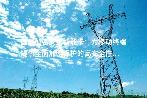 国网加密安全智能卡：为移动终端提供全面加密保护的高安全性TF卡
