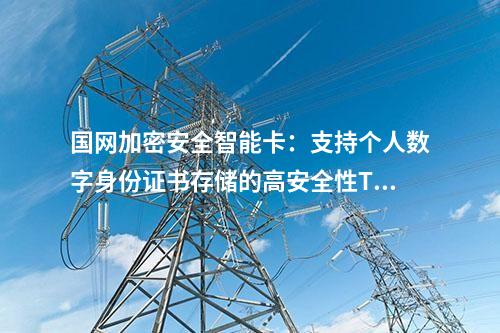 国网加密安全智能卡：高效SM2加密和解密性能的安全TF卡