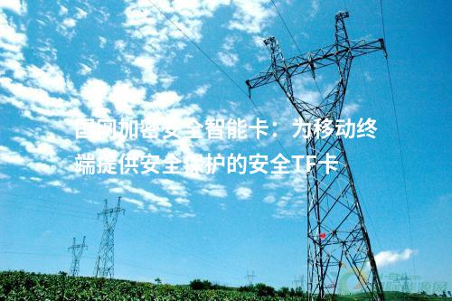 国网加密安全智能卡：为移动终端提供安全保护的安全TF卡