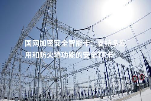 国网加密安全智能卡：支持多应用和防火墙功能的安全TF卡