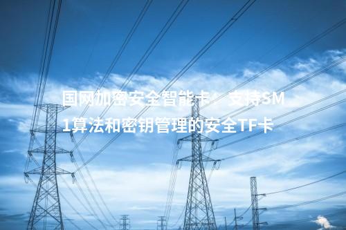 国网加密安全智能卡：支持SM1算法和密钥管理的安全TF卡