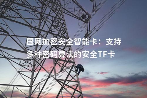 国网加密安全智能卡：支持多种密码算法的安全TF卡