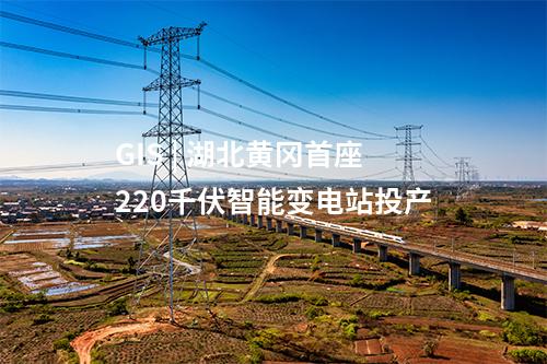 水电项目 | 国家电投羊曲水电站最后一台机组转子完成吊装