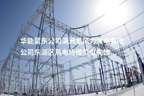 华能蒙东公司满洲里风力发电有限公司东湖区风电场微型纵向加密及双北斗对时装置物资采购询价公告