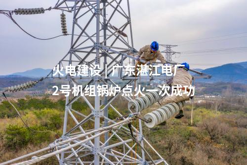 光伏发电 | 贵州册亨县八渡农业光伏电站项目（一期）全容量并网发电