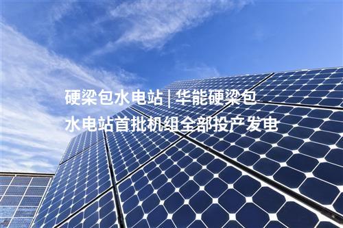 硬梁包水电站 | 华能硬梁包水电站首批机组全部投产发电