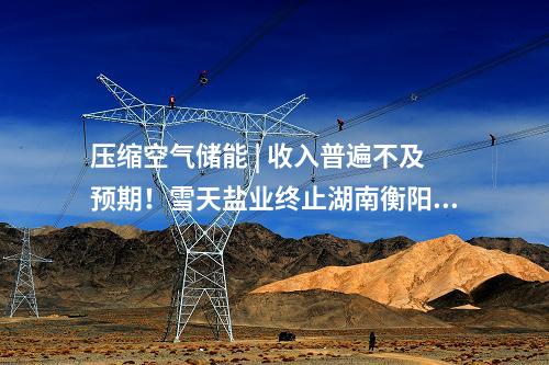 压缩空气储能 | 收入普遍不及预期！雪天盐业终止湖南衡阳百兆瓦级盐穴压缩空气储能项目建设
