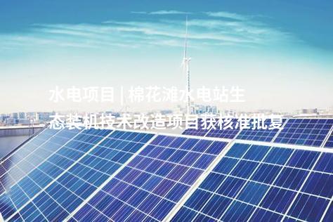 异质结组件 | 5GW高效异质结组件首件下线！