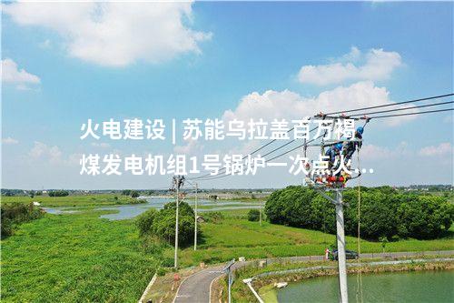国家电投 | 国家电投辽宁丹东1000MW海上风电项目开标