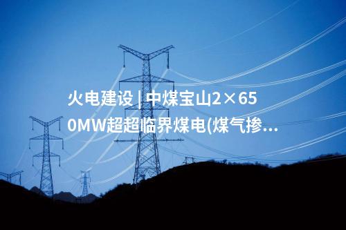 火电项目 | 279.2万元！2×660MW项目柴油发电机设备中标公示