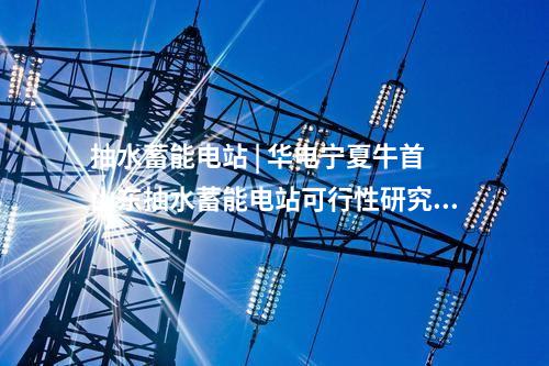 抽水蓄能电站 | 华电宁夏牛首山东抽水蓄能电站可行性研究阶段内审工作完成