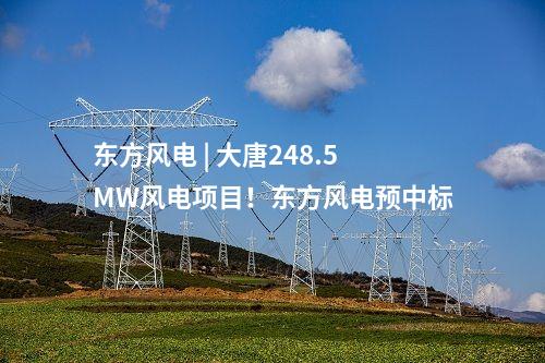 东方风电 | 大唐248.5MW风电项目！东方风电预中标