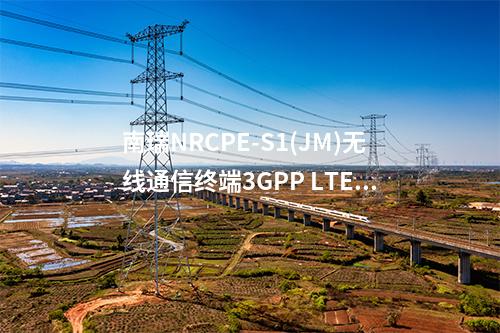 南瑞NRCPE-S1(JM)无线通信终端3GPP LTE Release9的支持