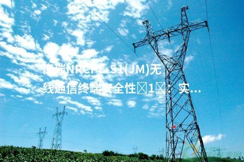 南瑞NRCPE-S1(JM)无线通信终端安全性​1​：实现端到端的加密通信，满足安全性需求