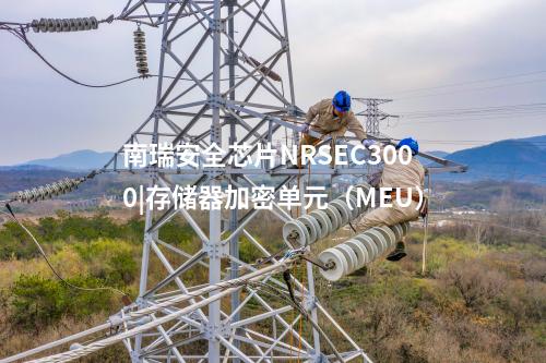 <a href=//www.eznab.com/info/23.html target=_blank class=infotextkey>南瑞安全芯片NRSEC3000</a>|存储器加密单元(MEU)