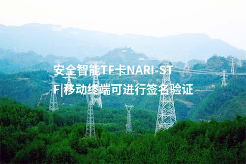 安全智能TF卡NARI-STF|移动终端可进行签名验证