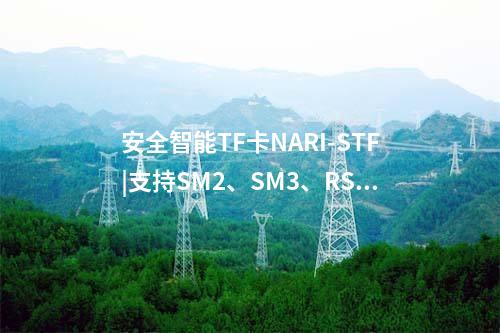 安全智能TF卡NARI-STF|支持SM2、SM3、RSA2048等多种密码算法