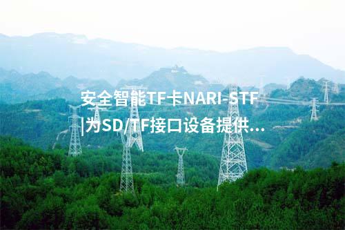 安全智能TF卡NARI-STF|为SD/TF接口设备提供通用密码服务