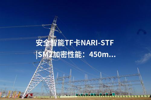 安全智能TF卡NARI-STF|实现SM1算法和密钥管理