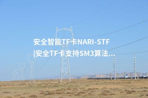 安全智能TF卡NARI-STF|安全TF卡支持SM3算法的数据加解密