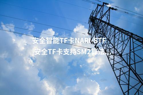 安全智能TF卡NARI-STF|安全TF卡支持SM2算法的签名验证