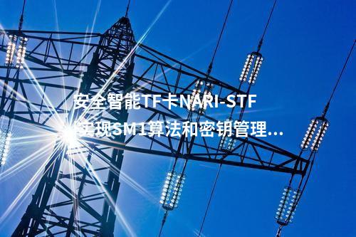 安全智能TF卡NARI-STF|实现SM1算法和密钥管理功能