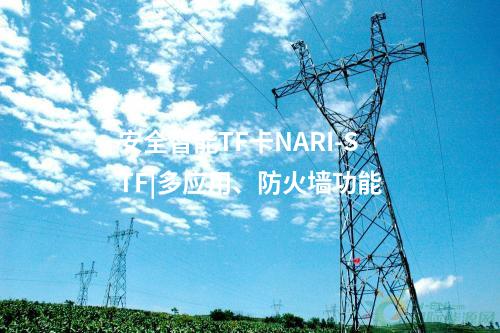 安全智能TF卡NARI-STF|多应用、防火墙功能