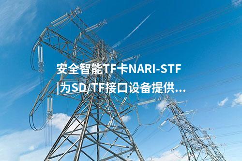 安全智能TF卡NARI-STF|为SD/TF接口设备提供通用密码服务