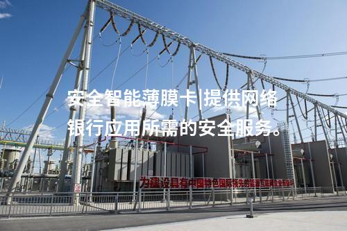 安全智能薄膜卡|提供网络银行应用所需的安全服务。