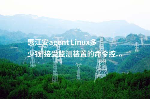 厂站网络安全监测软件（agent）|安装在工作站和嵌入式主机中。