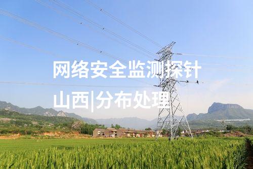 网络安全监测探针山西|分布处理