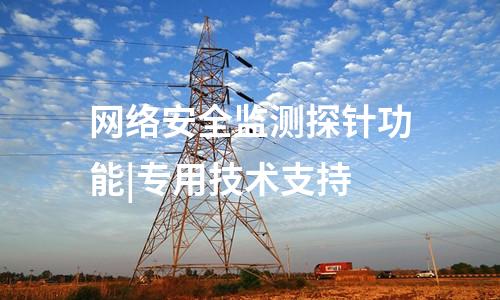 网络安全监测探针功能|专用技术支持