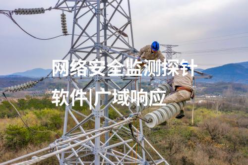 网络安全监测探针软件|广域响应