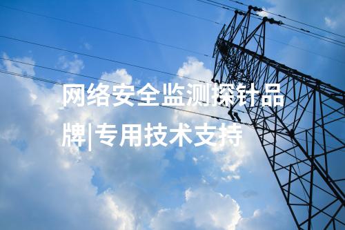 网络安全监测探针品牌|专用技术支持