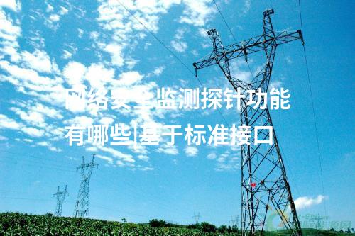 网络安全监测探针功能有哪些|基于标准接口
