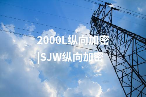 2000L纵向加密|SJW纵向加密