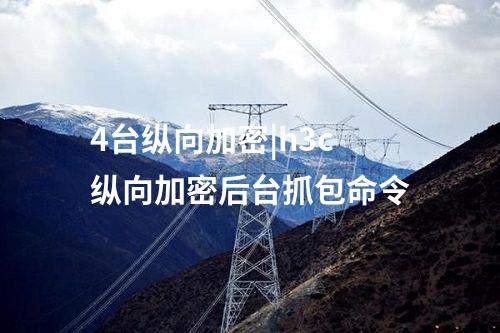 4台纵向加密|h3c纵向加密后台抓包命令