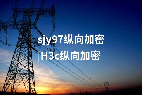 sjy97纵向加密|H3c纵向加密
